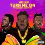 Wellkid Turn Me On ft. Olamide Jamopyper 1