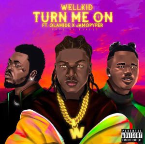 Wellkid Turn Me On ft. Olamide Jamopyper 1
