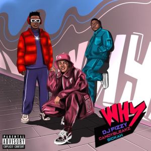 DJ Fizzy Why Ft. Candy Bleakz x Sickah