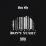 Shatta Wale – Dont Start