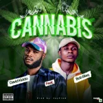 Cannabis by David Kiddo Ft. Bob Blaq Xclusiveloaded.com