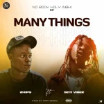 Zhips – Many Thing Ft. Seyi Vibez