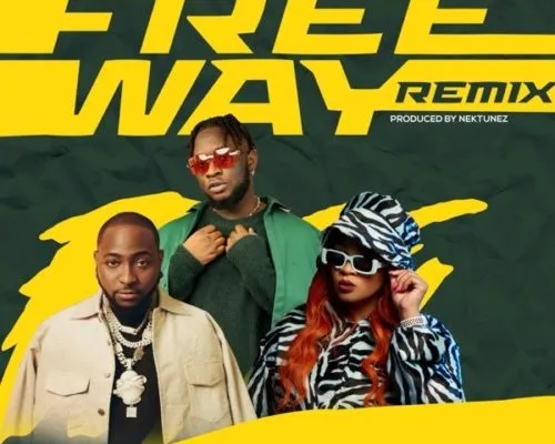 Tripsy Lady Du Davido Nektunez – Freeway Remix ft. DJ Pee Raven 1