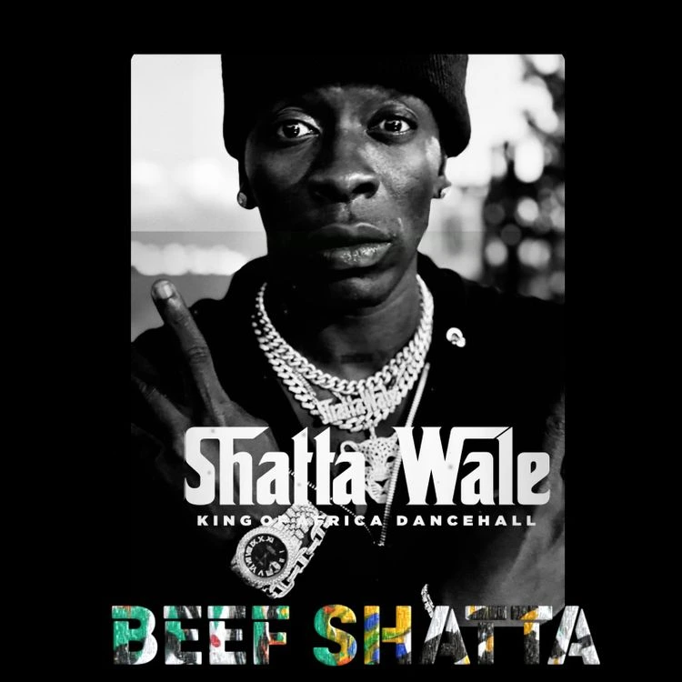 Beef Shatta Song by Shatta Wale