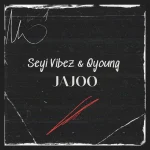 Jajoo Song by Seyi Vibez Ft. Q young
