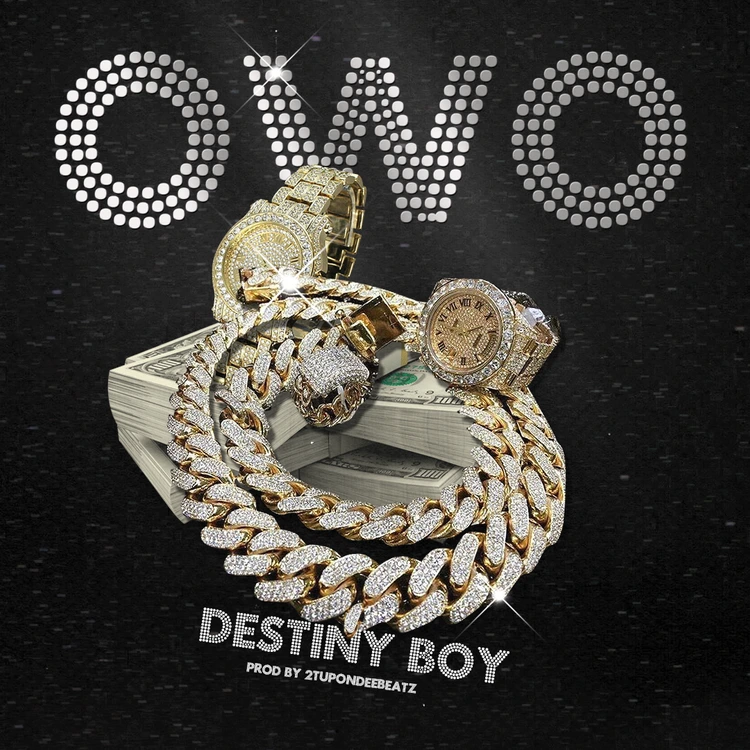 OWO Song by Destiny Boy