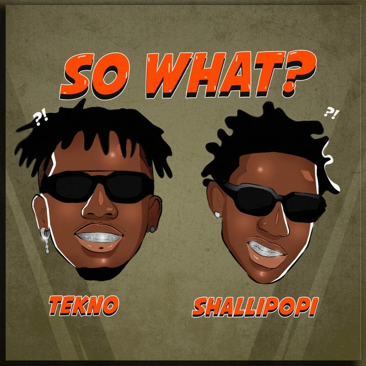 Tekno – So What ft. Shallipopi