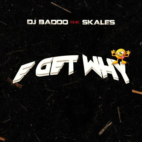 DJ Baddo – E Get Why Ft Skales