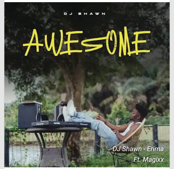 DJ Shawn – Awesome (Album)