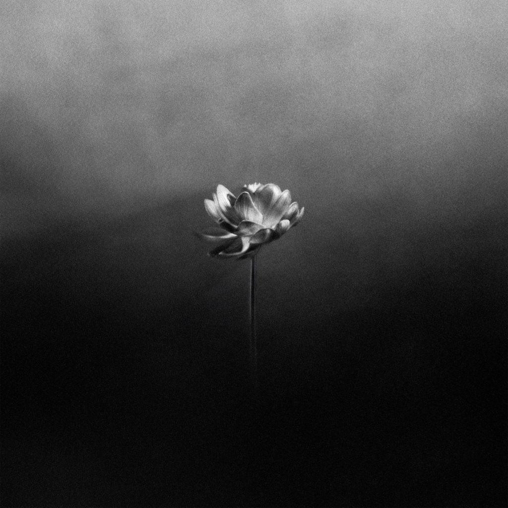 Little Simz – Flood