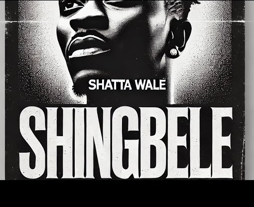 Shatta Wale – Shingbele